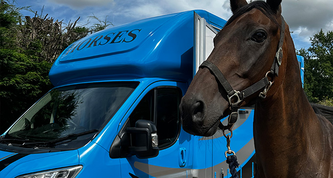 a horse standing outside of HCS Horse Transport's horse box in Leicestershire 