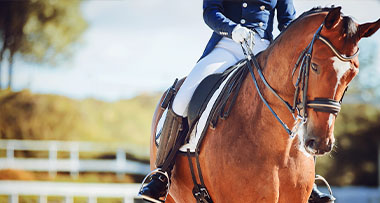 a horse and their rider partaking in a competition