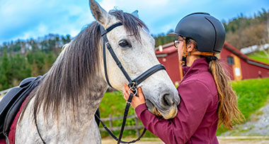 a horse and a woman together at an instructed lesson